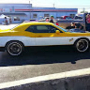 Meet your Posher, Marlene